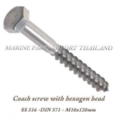 Coach20screw20with20hexagon20head2C20SS2031620DIN20571 M10x120mm2020 0posJPG