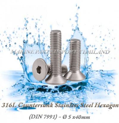 316L20Countersunk20Stainless20Steel20Hexagon205X40mm202820Pack20of202202920 00POS