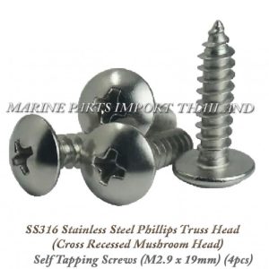 SS31620Stainless20Steel20Phillips20Truss20Head2028Cross20Recessed20Mushroom20Head2920Self20Tapping20Screws2028M2.920x2019mm..00.pos