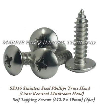 SS31620Stainless20Steel20Phillips20Truss20Head2028Cross20Recessed20Mushroom20Head2920Self20Tapping20Screws2028M2.920x2019mm..00.pos