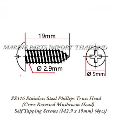 SS31620Stainless20Steel20Phillips20Truss20Head2028Cross20Recessed20Mushroom20Head2920Self20Tapping20Screws2028M2.920x2019mm..000.pos