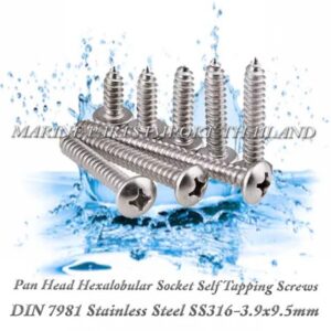 DIN7981 3.9X9.5mm20Stainless20Steel20SS316 00pos.jpg