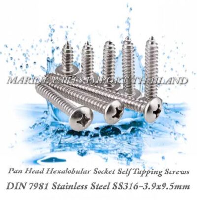 DIN7981 3.9X9.5mm20Stainless20Steel20SS316 00pos.jpg