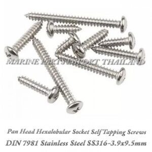 DIN7981 3.9X9.5mm20Stainless20Steel20SS316 0pos.jpg