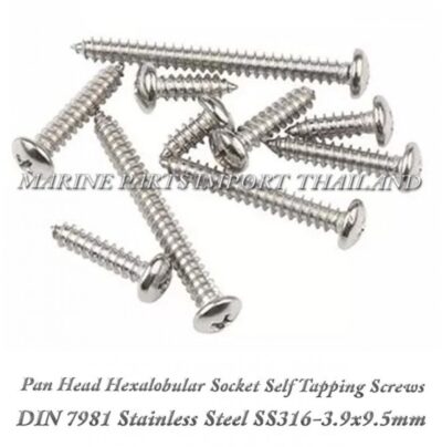 DIN7981 3.9X9.5mm20Stainless20Steel20SS316 0pos.jpg