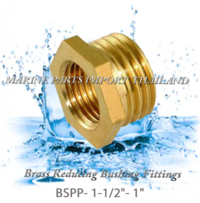 Brass20Reducing20Bushing20Fittings20 20BSPP 1 1.2inch20120inch 00000POS.png