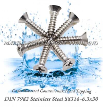 DIN7982 6.3X30Stainless20Steel20SS316 00posJPG.jpg