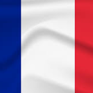 FRANCE20FLAG.png
